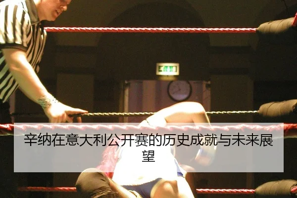 xin-na-zai-yi-da-li-gong-kai-sai-de-li-shi-cheng-jiu-yu-wei-lai-zhan-wang-2-924.jpg